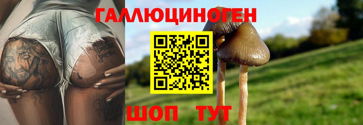 Галлюциногенные грибы мицелий  Галлюциногенные грибы MAGIC MUSHROOMS  Вход с VPN  Кирово-Чепецк 